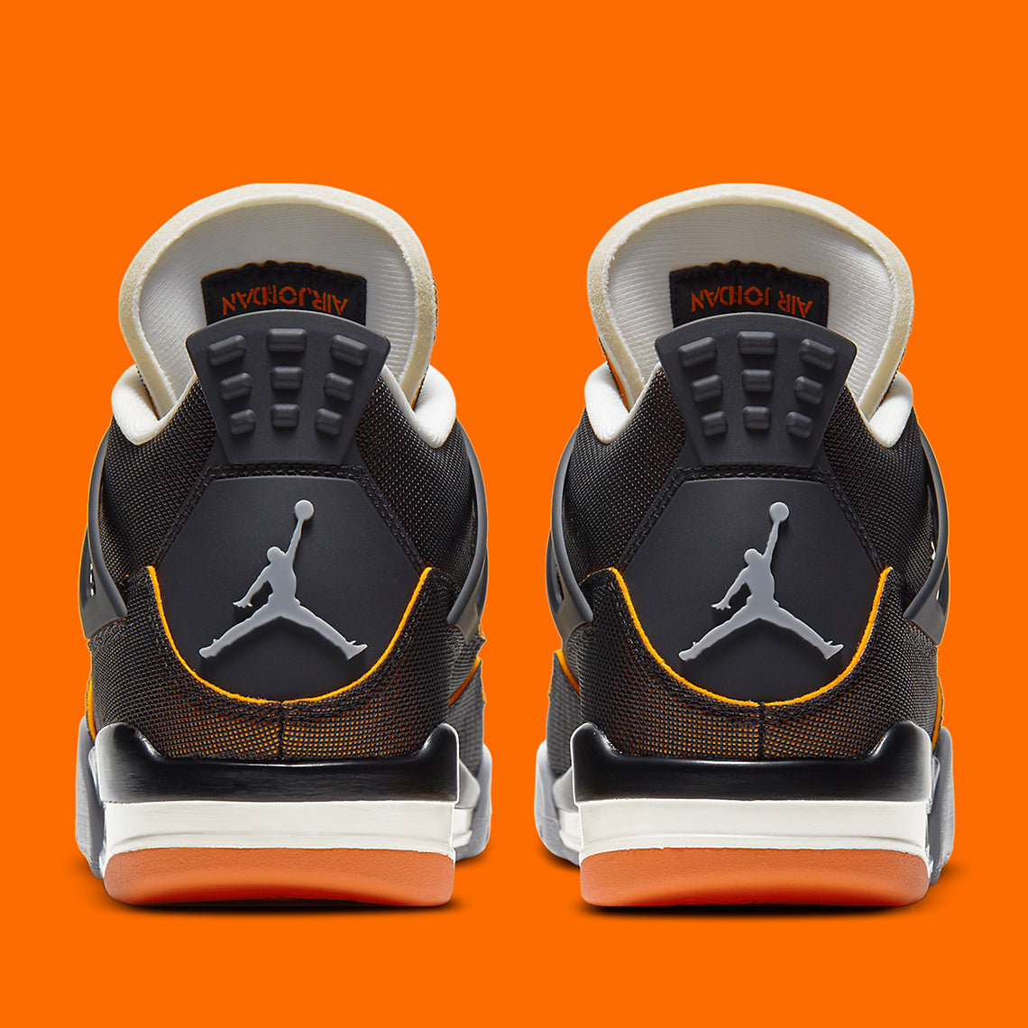 Air Jordan 4 SE Starfish