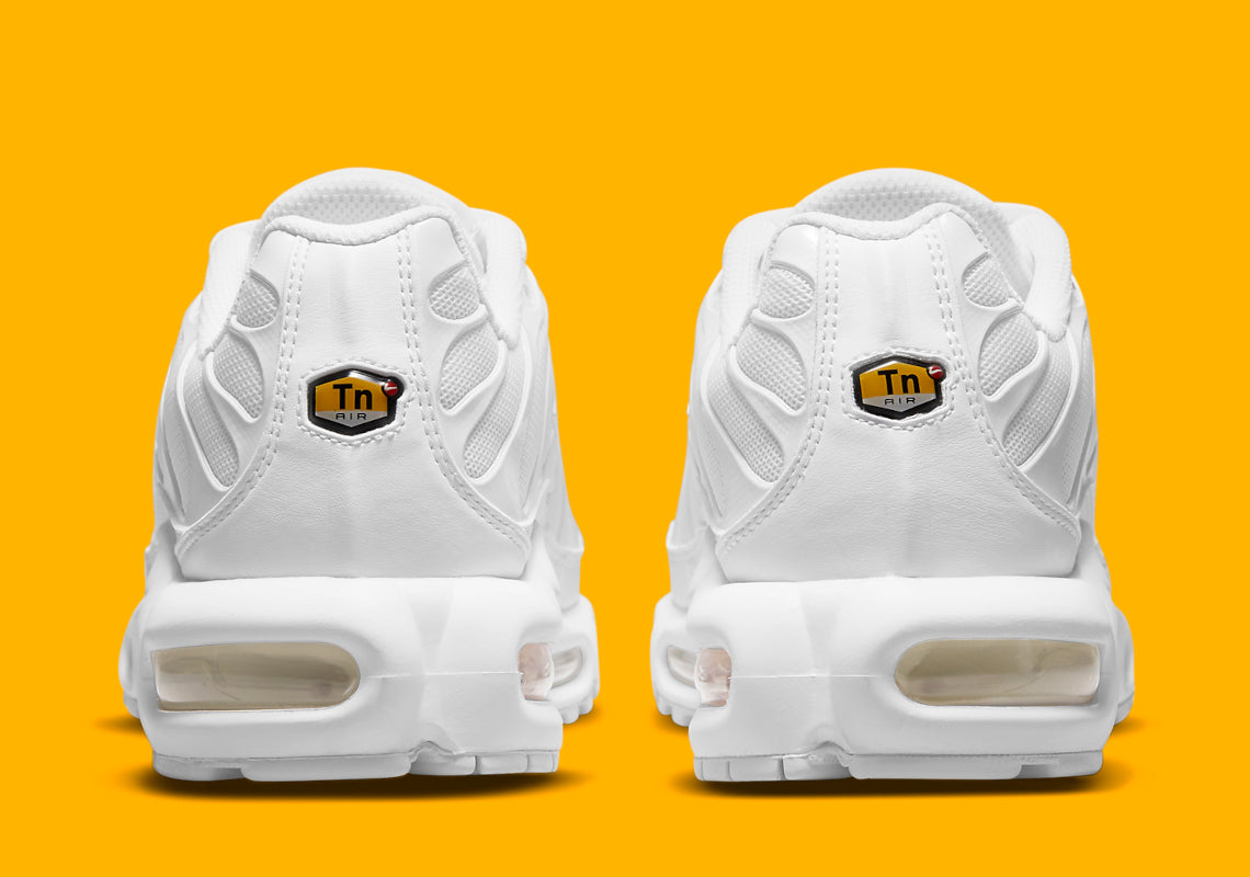 Nike Air Max Plus White Pure Platinum