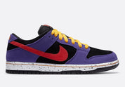 Nike SB - Dunk Low ACG Terra