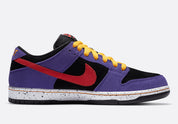 Nike SB - Dunk Low ACG Terra