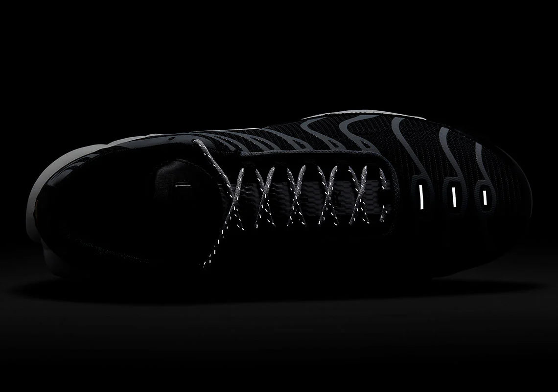 Nike Air Max Plus Grind Dark Smoke Gray