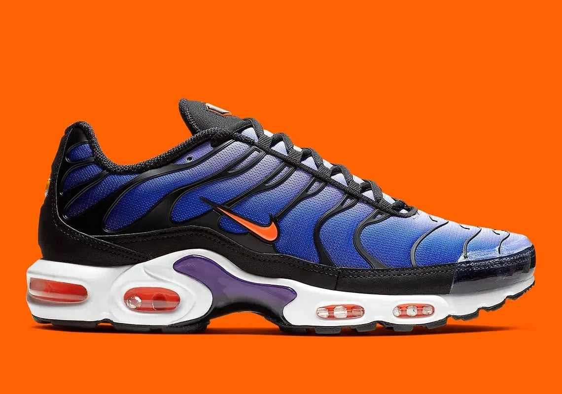 Air max plus og midnight purple top