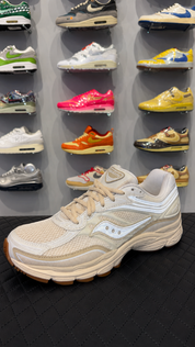 Lacet Ronds - Disponible en 15 Couleurs