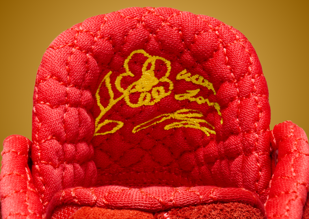 Nike Zoom LeBron NXXT Gen Future JuJu Watkins With Love