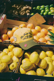 Casquette Maison Atnav "Le Citron", casquette jaune citron et vert olive avec broderie Maison Atnav, visière préformée et écussons décoratifs.