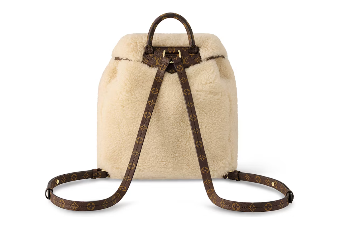 Louis Vuitton LV SKI Backpack, vue de dos
