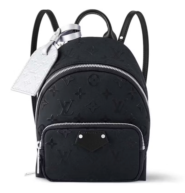 Louis Vuitton Palm Spring Mini Polar Night argent logo icône