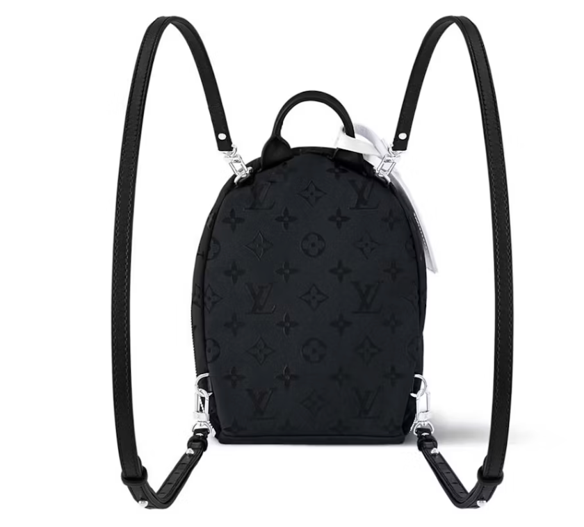 Louis Vuitton Palm Spring Mini Polar Night argent logo icône arrière