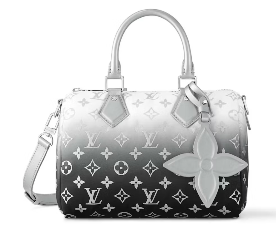 Louis Vuitton Speedy Bandouliere 25 Frost Gardiant Silver dégradé argent noiir logo icône fleur