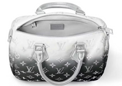 Louis Vuitton Speedy Bandouliere 25 Frost Gardiant Silver dégradé argent noiir logo icône fleur