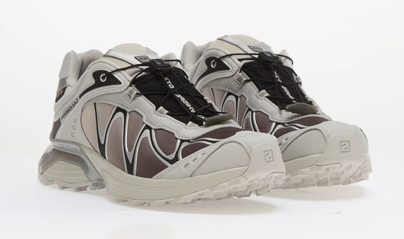 Salomon XT-Whisper Gore-Tex Gray Violet Black Silver en textile gris violet, noir et argent avec système quickLACE™ et membrane GORE-TEX.