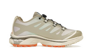 Salomon XT-4 OG Aurora Borealis Shortbread