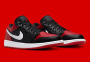 Jordan 1 Low Alternate Bred Toe