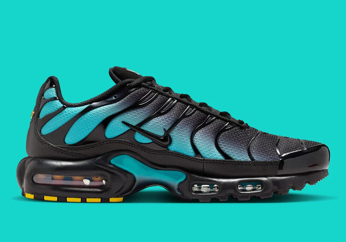 Nike Air Max Plus Black Dusty Cactus – GlobalSneakers