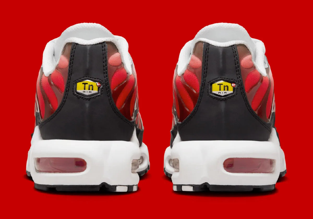 Nike Air Max Plus White Black University Red blanche et rouge avec dégradé sur mesh, cage TPU, détails noirs et amorti Tuned Air visible vue de derrière. 