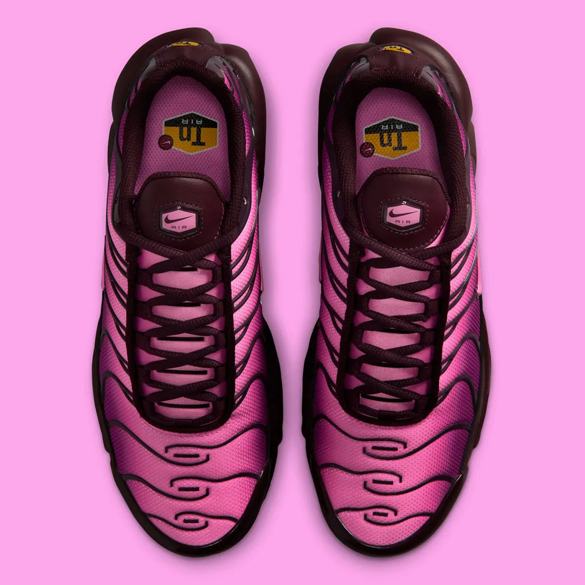 Nike Air Max Plus Burgundy Crush Cactus Flower en dégradé bordeaux et rose, avec renforts ondulés et unités Air visibles.