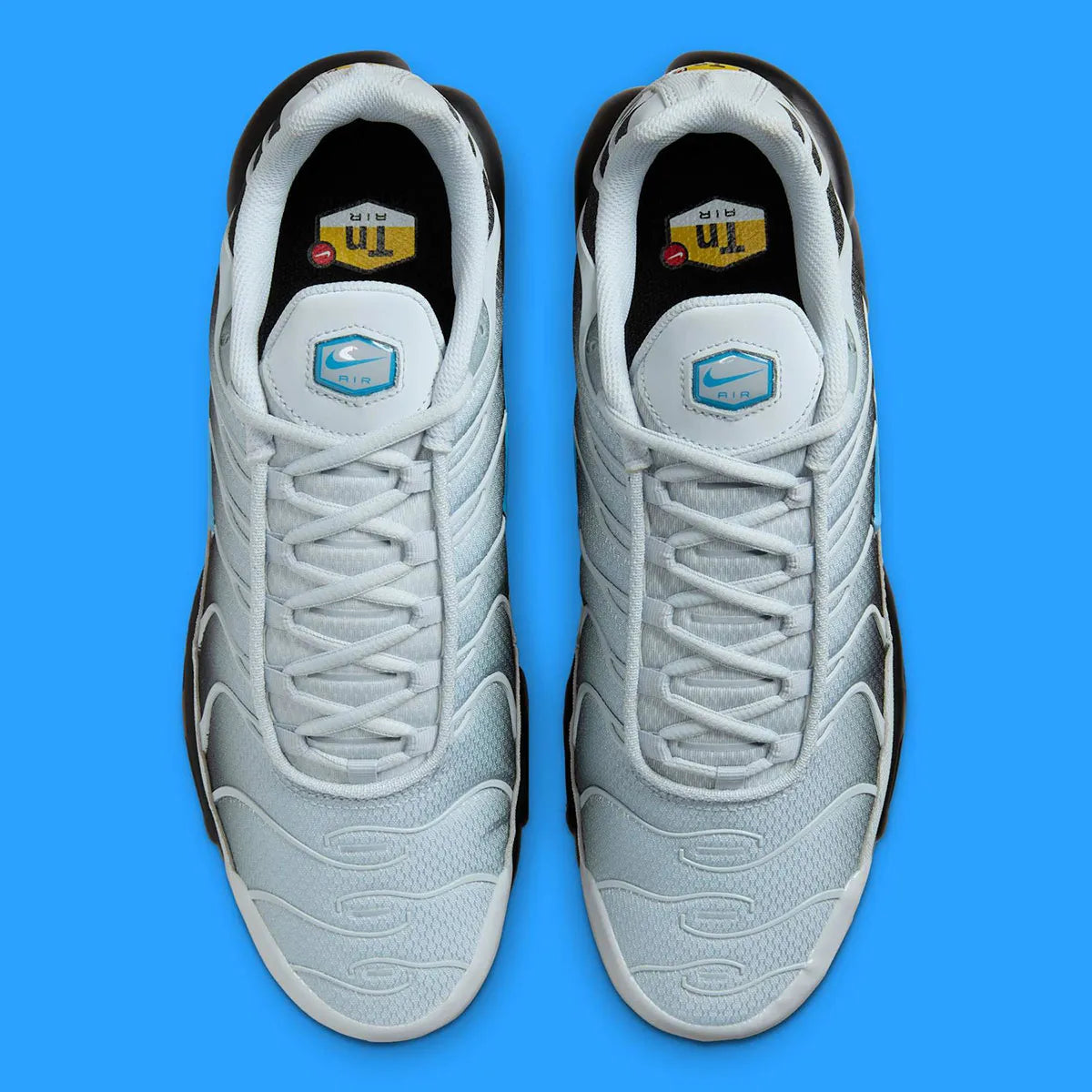 Nike Air Max Plus Grey University Blue Black – sneakers TN grises avec détails bleus , vue de haut
