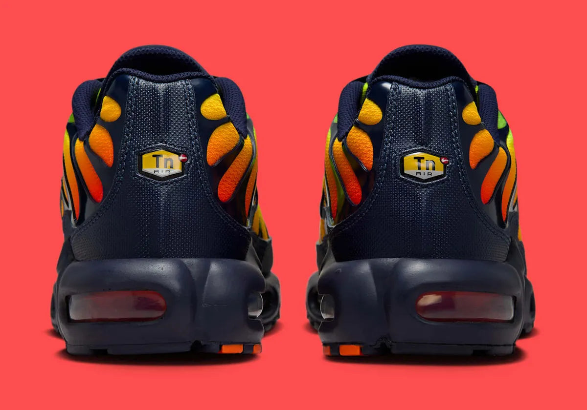 chaussure nike tn, nike air max plus coloré, semelle confortable, vue de derrière du talon, logo tn 