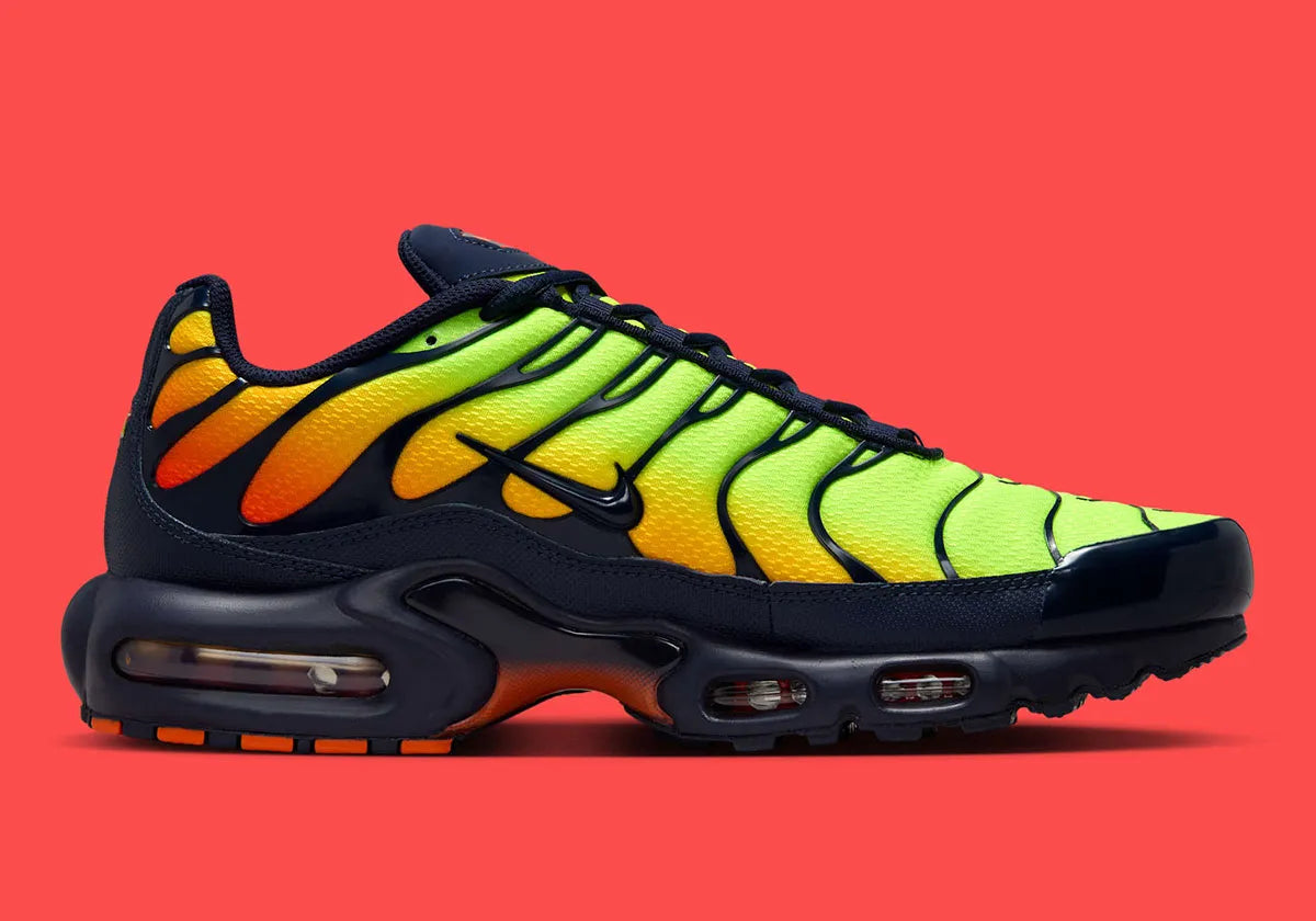 chaussure nike tn, nike air max plus coloré, semelle confortable, vue de coté intérieur