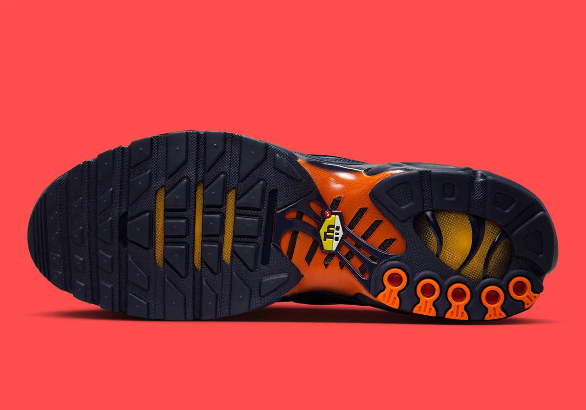 chaussure nike tn, nike air max plus coloré, semelle confortable, vue de dessous de la semelle extérieur