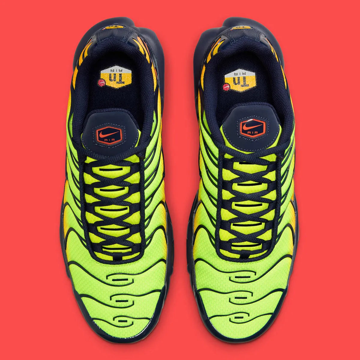 chaussure nike tn, nike air max plus coloré, semelle confortable, vue de dessus 
