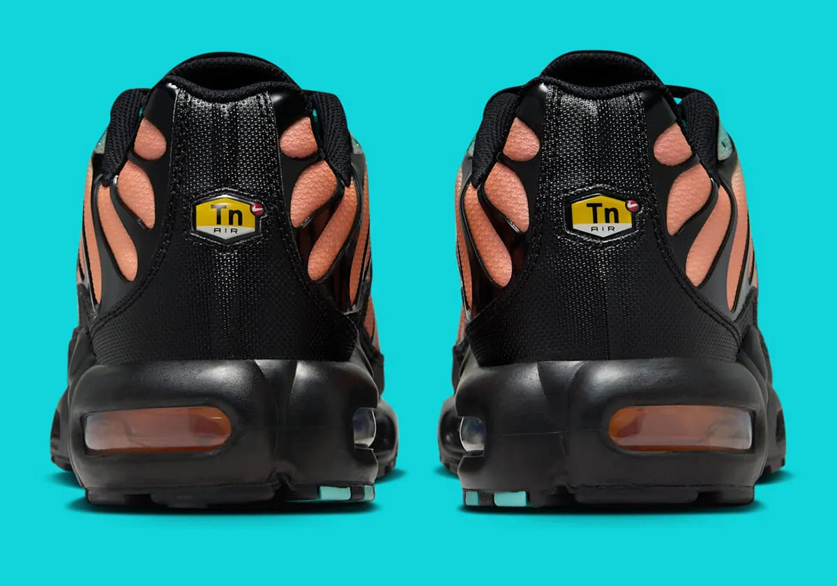 nike air max plus coloré été, nike, tn, chaussure confortable, semelle avec bulle d'air, vu de derrière du talon, logo tn 
