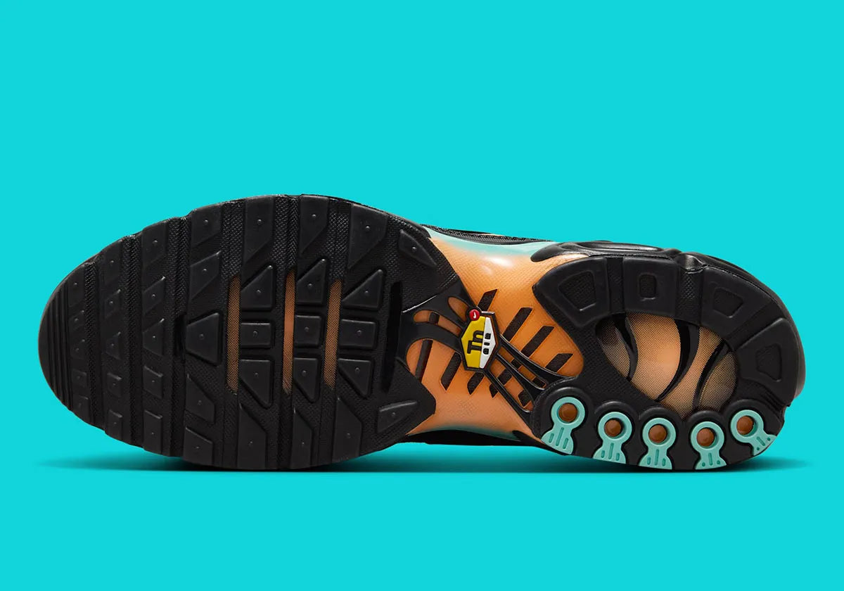 nike air max plus coloré été, nike, tn, chaussure confortable, semelle avec bulle d'air, vu de dessous de la semelle