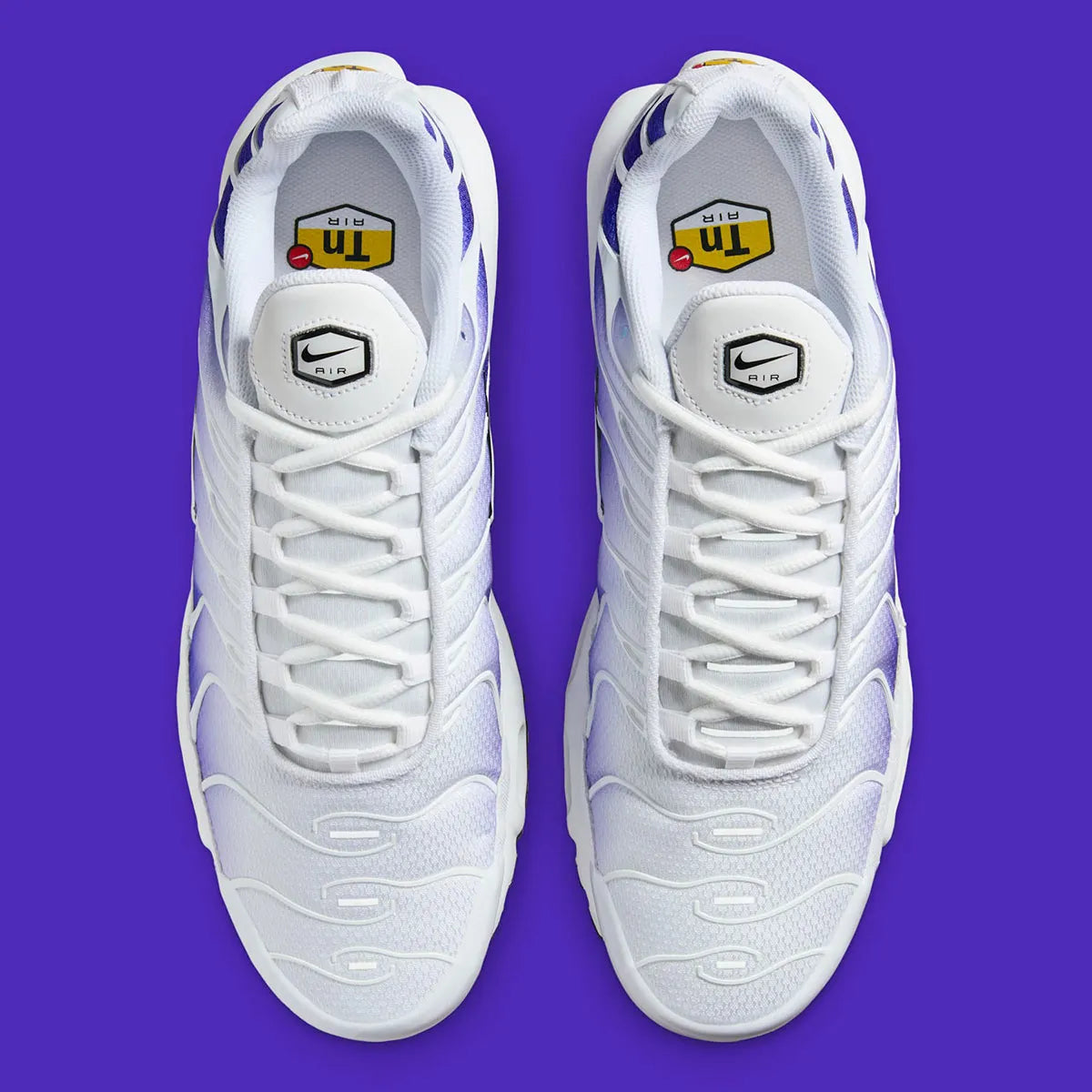 chaussures nike, air max plus tn, nike violet et blanc, swoosh apparent, vue de haut, logo air, logo tn