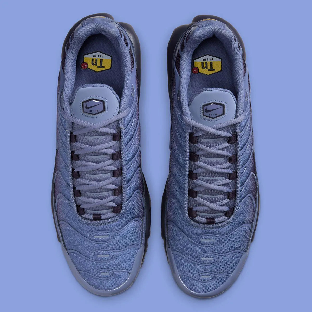 chaussure air max plus nike, tn, nike bleu marine, degradé de couleur, chaussure confortable logo apparant, vue de haut, vue des deux chaussuresn languette apparante