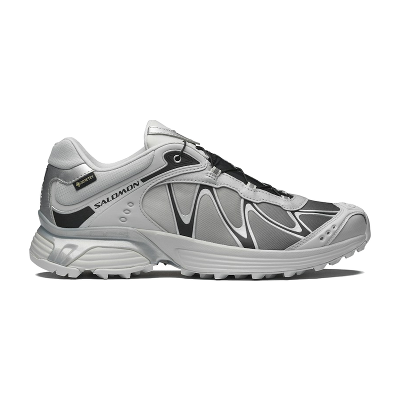 Salomon XT-Whisper Gore-Tex Gray Violet Black Silver