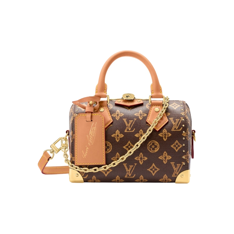 Louis Vuitton Speedy Trunk 20