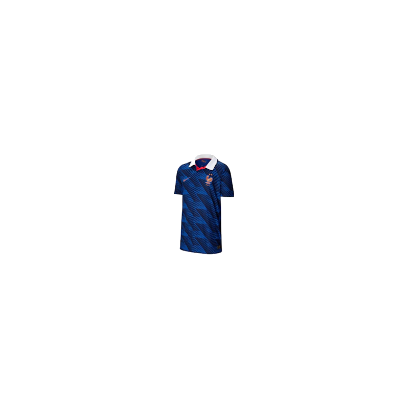 Nike France National Team 2026 Match Home Jersey Game Royal/Blackened Blue/White/Metallic Copper