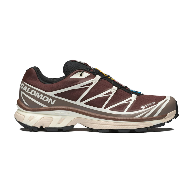 Salomon XT-6 Gore-Tex Bitter Chocolate Iron Vanilla Ice