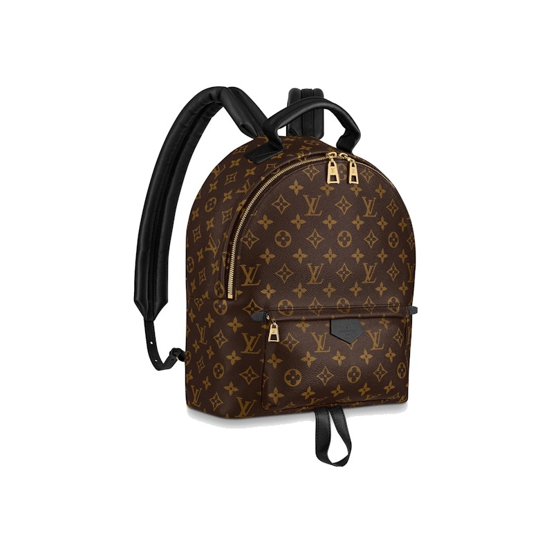 Louis Vuitton Palm Springs Monogram MM