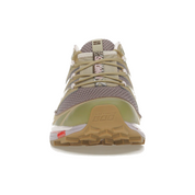 Salomon XT-6 Expanse size? Exclusive Annecy Hotel