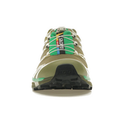 Salomon XT-6 Dried Herb