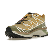 Salomon XT-6 Gore-Tex Antelope Portabella