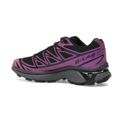 Salomon XT-6 Iridescent Pack