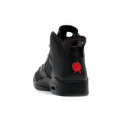 Air Jordan 6 Retro PRM Bin23