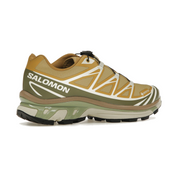 Salomon XT-6 Gore-Tex Antelope Portabella