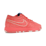 Nike Book 1 Sedona