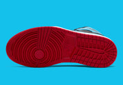 Air Jordan 1 Retro High UNC Chicago Leather