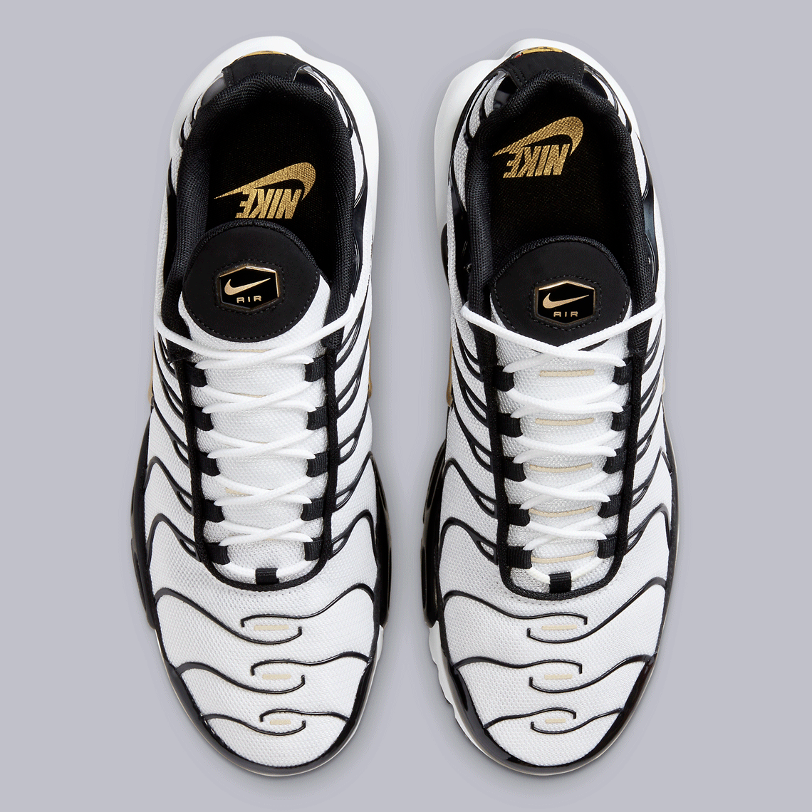 black with gold tick tns