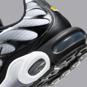 Nike Air Max Plus Black Silver White