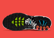 Nike Air Max Plus Worldwide
