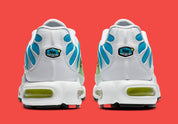 Nike Air Max Plus Worldwide