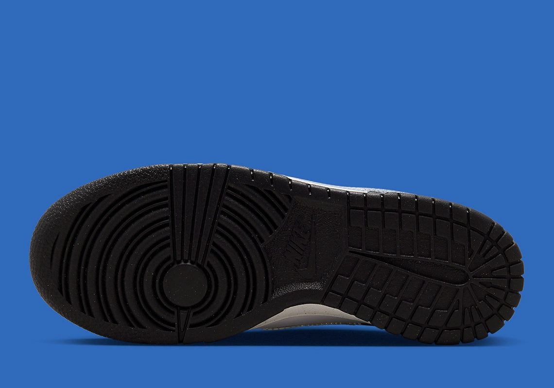 Nike Dunk Low Next Nature TPU Swoosh
