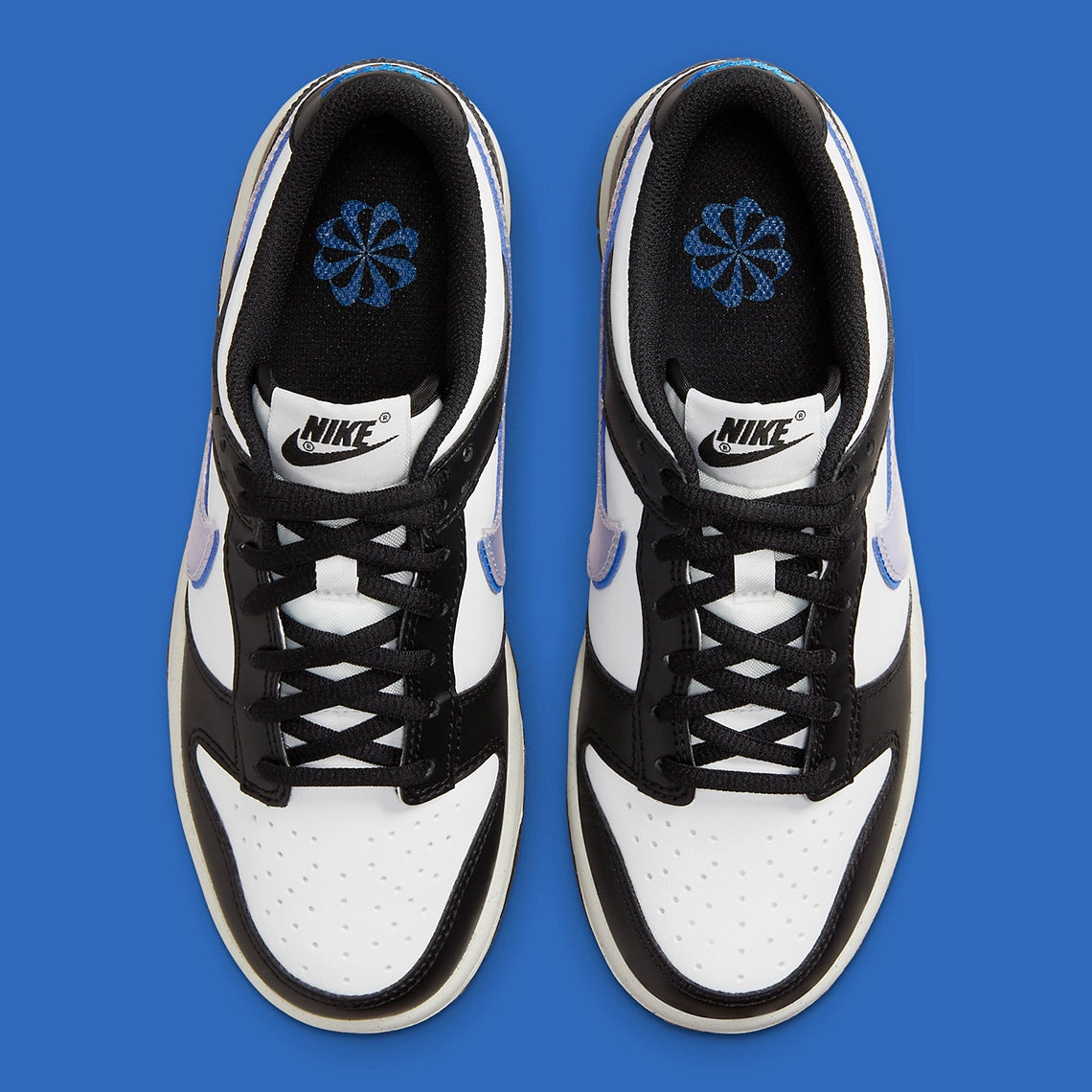Nike Dunk Low Next Nature TPU Swoosh