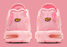 Nike Air Max Plus City Special ATL