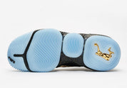 Nike LeBron 16 Watch the Throne semelle
